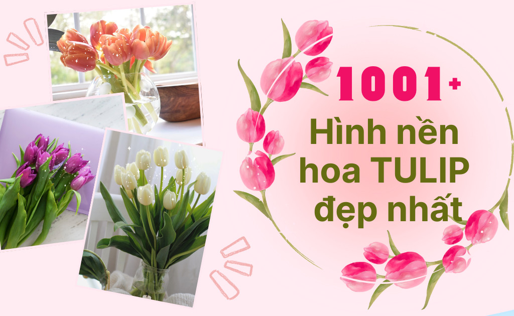 bông hoa tulip được tô màu đa sắc rực rỡ với các sắc độ chuyển màu tự nhiên