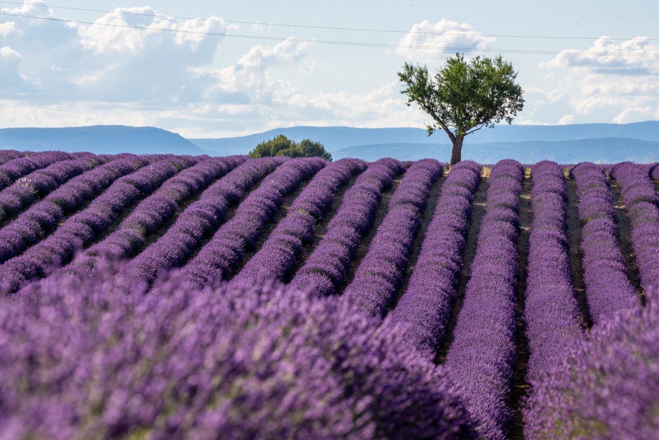Cảnh sát phong tỏa và khám nghiệm khu vực phát hiện thi thể nạn nhân