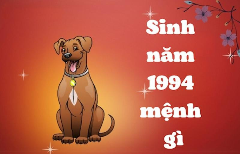 Cách ứng dụng màu sắc phong thủy tuổi Tuất 1994 trong đời sống và nghệ thuật