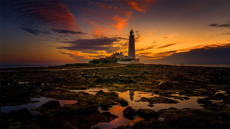 Vẽ cảnh bình minh với phong cách fantasy