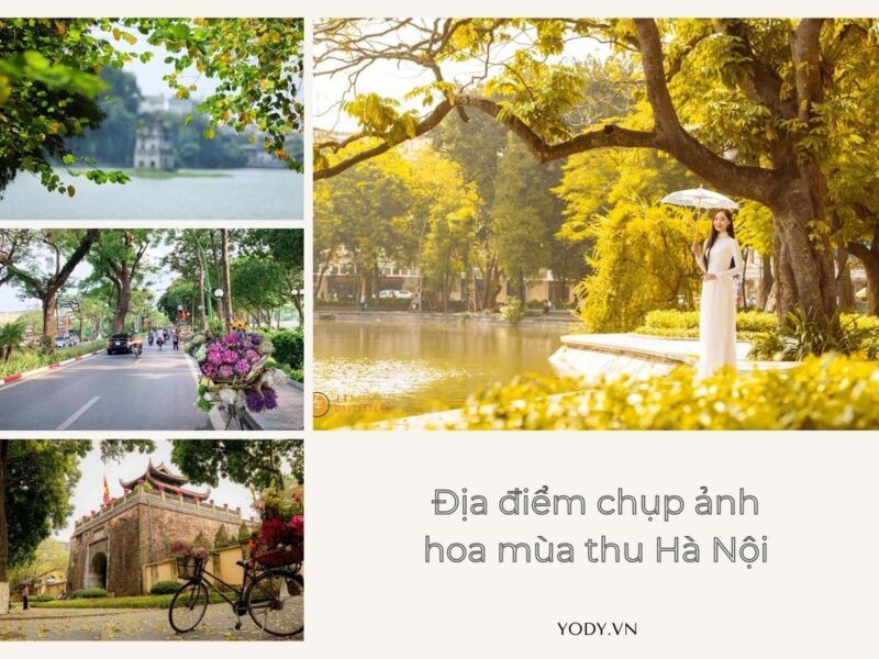 Tranh vẽ cây xanh cổ thụ to lớn tỏa bóng mát rực rỡ dưới ánh nắng ban mai