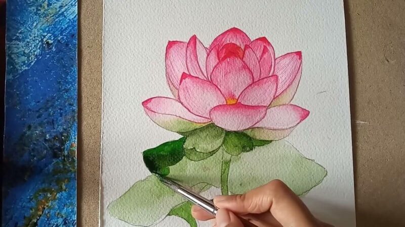 Các bước vẽ chi tiết từng cánh hoa sen sao cho mềm mại và tự nhiên nhất