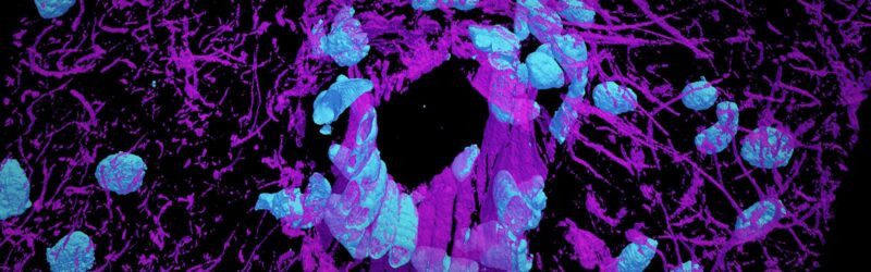 Hình ảnh vẽ tranh nghề nghiệp tương lai một kỹ sư AI nam đang làm việc với robot hiện đại trong phòng lab