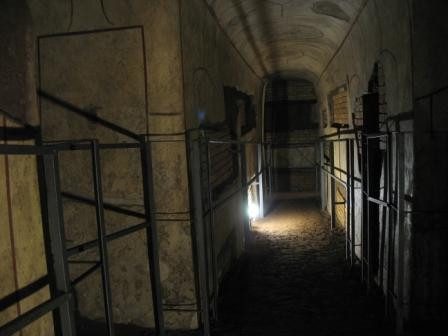 Tranh vẽ chim bồ câu trắng ngậm cành ô liu bay trên nền trời xanh biểu tượng cho hòa bình vĩnh cửu