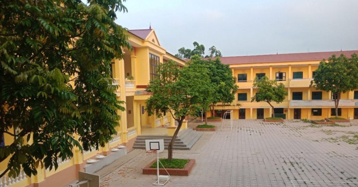 Tranh vẽ phong cảnh sân trường với cây phượng vĩ và ghế đá thân quen của tuổi học trò