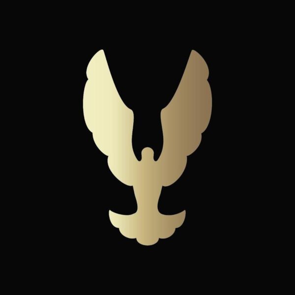 Ý nghĩa màu sắc trong phong cách cá nhân, thể hiện gu thẩm mỹ qua lựa chọn màu sắc