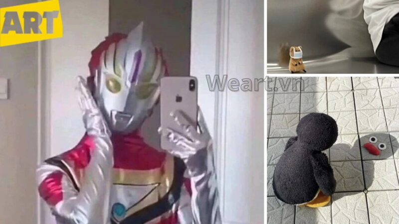 Bộ Sưu Tập Hình Ảnh Avatar Vô Tri Độc Đáo