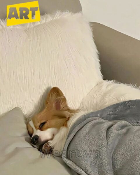 Bộ Sưu Tập Hình Ảnh Avatar Vô Tri Độc Đáo