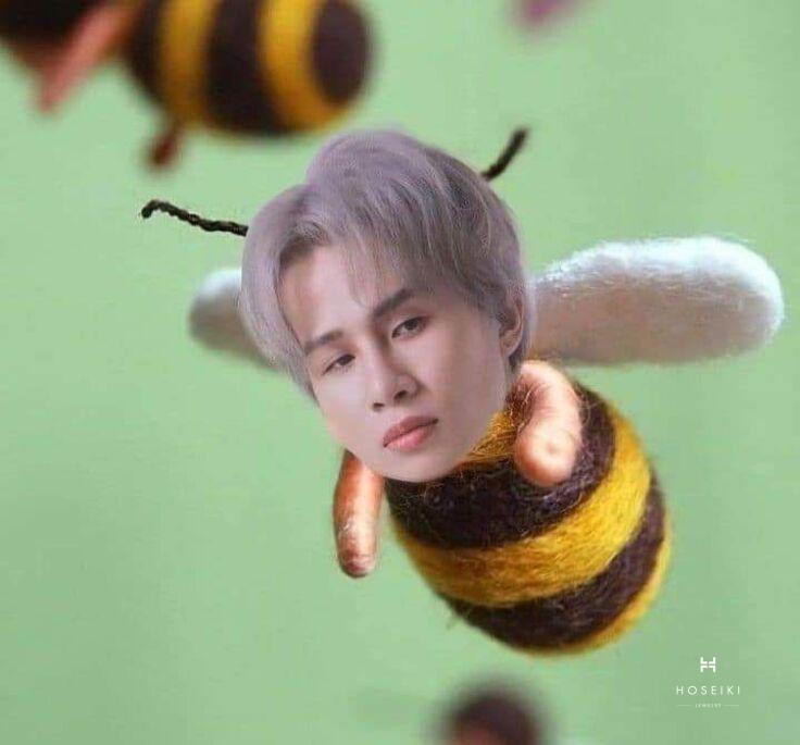 Avatar vô tri không có cảm xúc khiến người khác thích thú