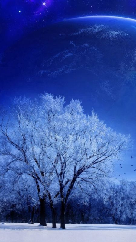 Dòng suối trong rừng xanh rậm rạp trong hình nền 3D thiên nhiên