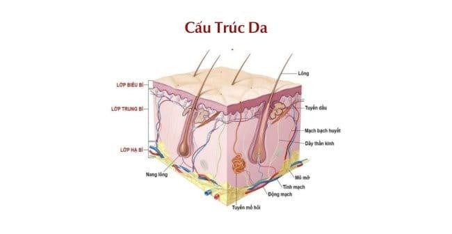 Hiểu rõ cấu trúc và hướng mọc của tóc nữ ngắn là bước đầu tiên quan trọng trong quá trình vẽ