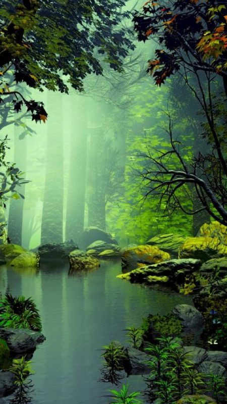 Những bông hoa dại nở rộ bên dòng suối trong hình ảnh 3D phong cảnh