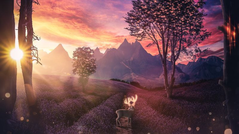 Toàn cảnh thung lũng dưới ánh trăng đêm trong hình ảnh thiên nhiên 3D