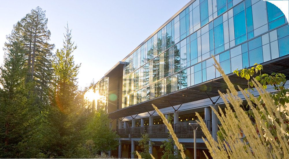 Khuôn viên một trường đại học mỹ thuật Nhật Bản với kiến trúc độc đáo và không gian xanh truyền cảm hứng cho sinh viên du học ngành mỹ thuật