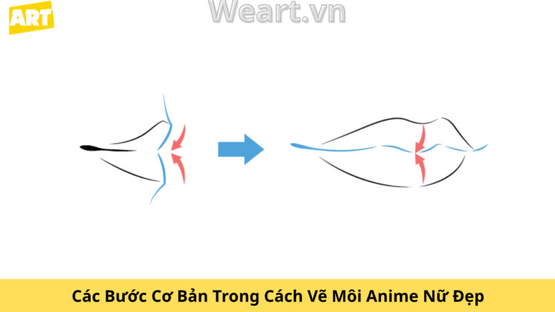 Bí Quyết Cách Vẽ Môi Anime Nữ Đẹp Chuẩn Chuyên Gia