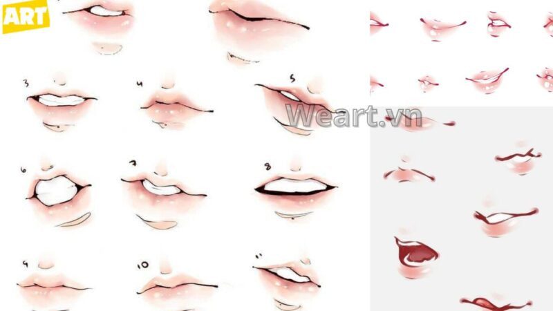 Bí Quyết Cách Vẽ Môi Anime Nữ Đẹp Chuẩn Chuyên Gia